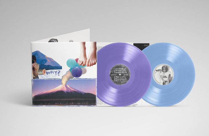 Elephant Eyelash | WHY?