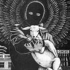 veganlaw71344 thumbnail