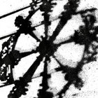 Causelost thumbnail