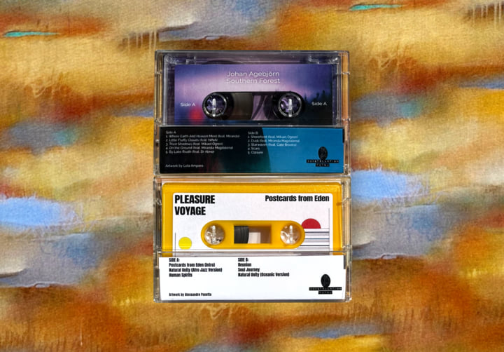 Southern Forest | Johan Agebjörn | Constellation Tatsu