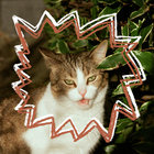 myopicmisanthrope thumbnail