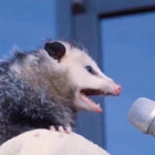 _-_-_-_-_-_-_ thumbnail