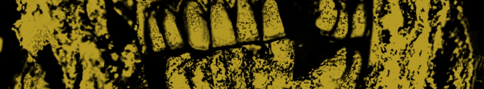 Verminsect — Photo · logo