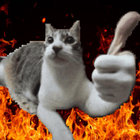 Jonas thumbnail