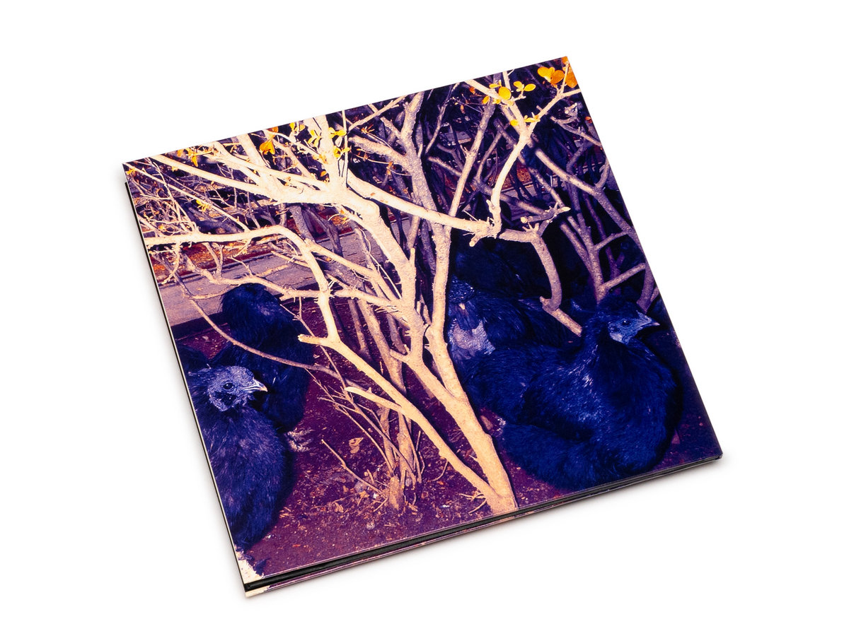 Animal Magnetism | Merzbow | Urashima