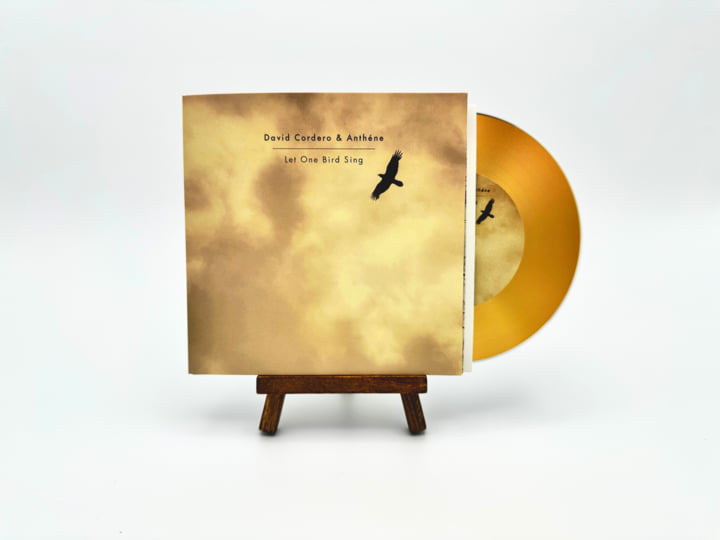 Let One Bird Sing | David Cordero & Anthéne | whitelabrecs