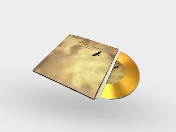 Let One Bird Sing | David Cordero & Anthéne | whitelabrecs