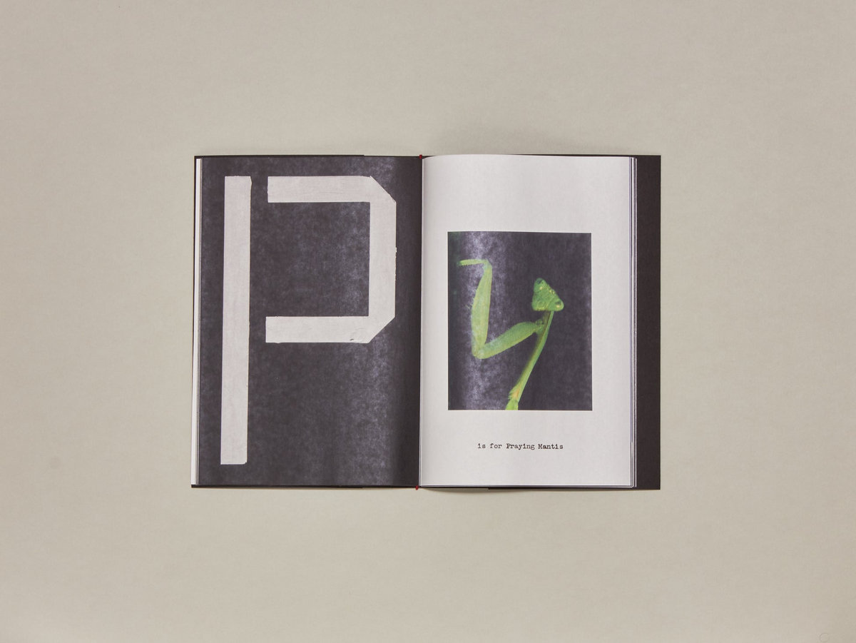 A is for Ant - newspaper edition by Jack Davison | Rivertones