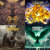 riff_12 thumbnail