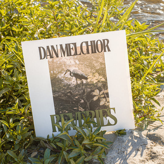 Reveries | Dan Melchior | Cudighi Records