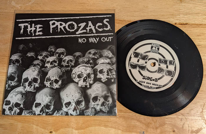 The Prozacs — Photo