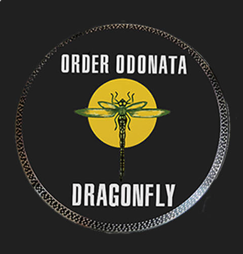 Merch | Dragonfly Records