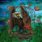 I am Black Hill thumbnail