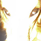 jacob thumbnail