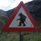 skovtrold thumbnail