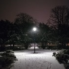 mov92 thumbnail