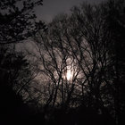 Cheyne thumbnail