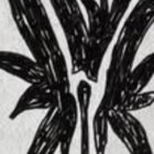 THY thumbnail