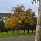 eithne33 thumbnail