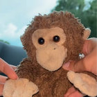 Wongster thumbnail