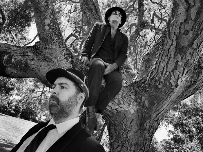 Music | Chris Alvy & The Super Fuzz