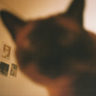 cgustavop thumbnail