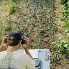 BK sound thumbnail