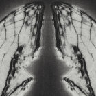 foglake thumbnail