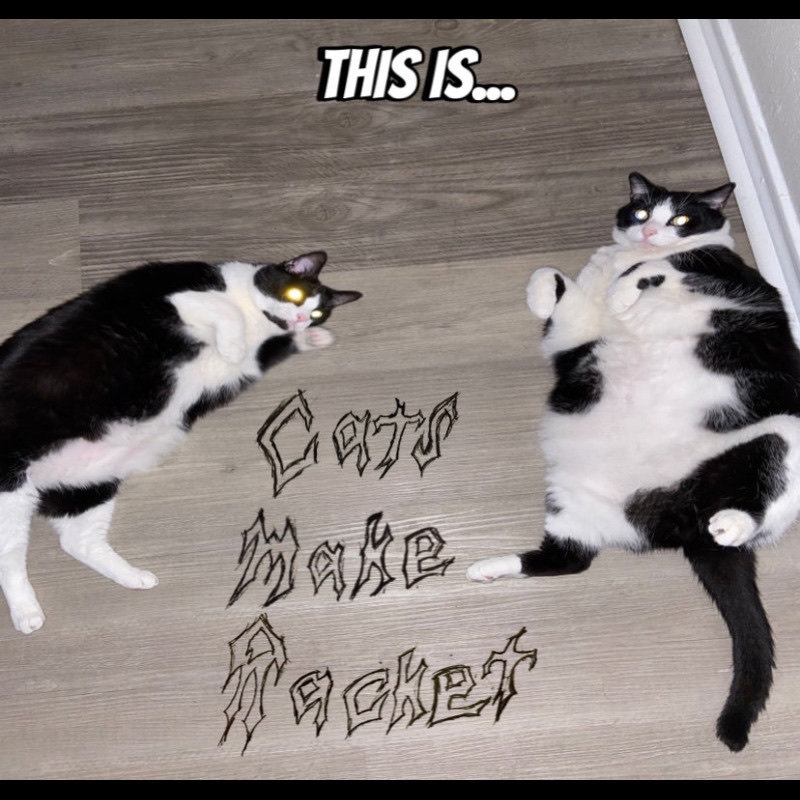 The Cat Distribution System | Cats Make Racket