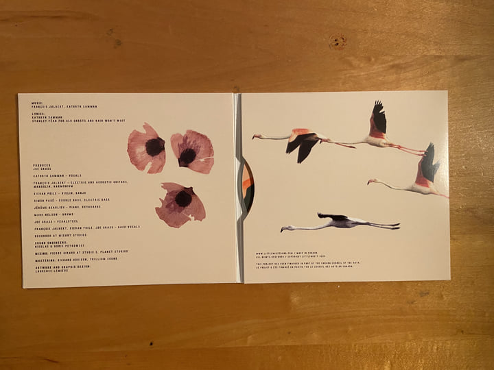 Little Misty | Little Misty