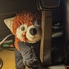 Frankie thumbnail