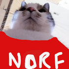 joeypeapotwithamonkeyface thumbnail