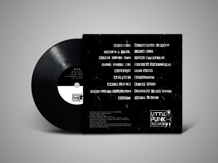 Little Punk Records Volume One. | Various Artists | Little Punk