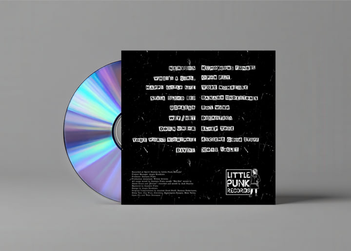 Little Punk Records Volume One. | Various Artists | Little Punk