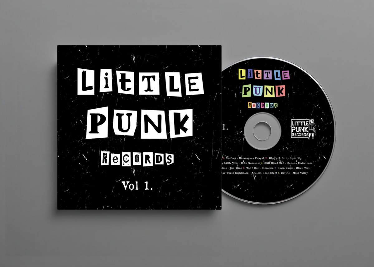 Little Punk Records Volume One. | Various Artists | Little Punk
