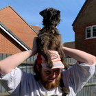 freddie thumbnail