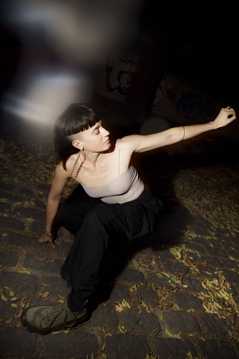 An Sionnach - Vicipéid, image size:800x1200