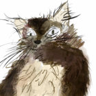 Taylor Thyme thumbnail