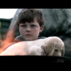 A Crow Without Wings thumbnail