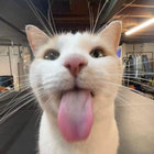 qweru thumbnail