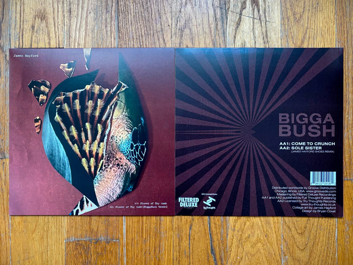 Split EP | James Hayford & BiggaBush | Filtered Deluxe Recordings