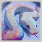 python backwards thumbnail