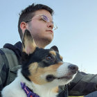 Vee thumbnail