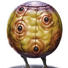 sillykaiju thumbnail