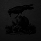 ElegyNocturnal thumbnail