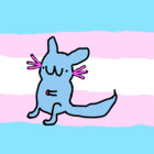 wedrar thumbnail