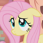 luna thumbnail