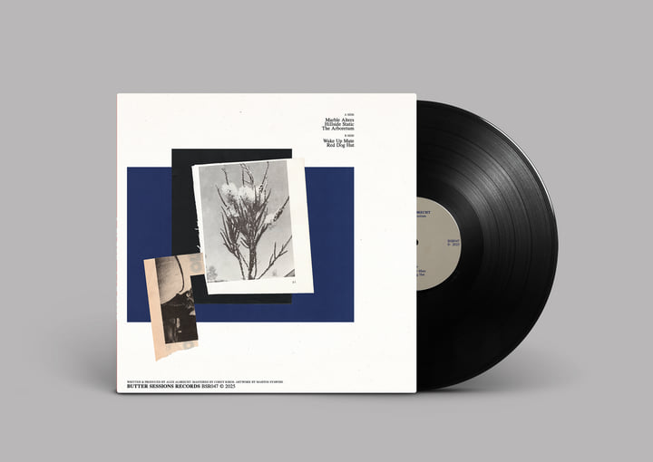 (12\")ALEX ALBRECHT LPセット 新品 ARBORETUM (12