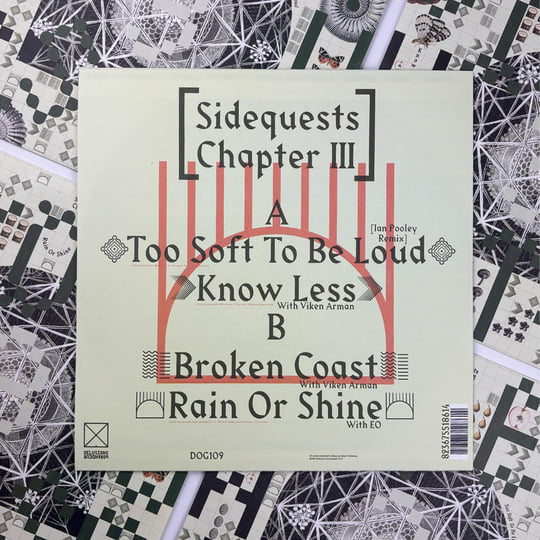 Sidequests Chapter Three | Session Victim