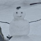 Sam Dong thumbnail